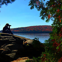 FALL IN ALGONQUIN PROVINCIAL PARK, CANADA