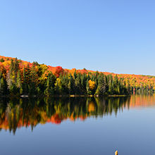 FALL IN ALGONQUIN PROVINCIAL PARK, CANADA