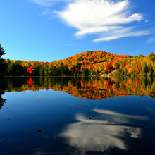 FALL IN ALGONQUIN PROVINCIAL PARK, CANADA