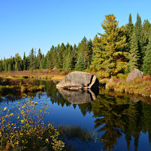 FALL IN ALGONQUIN PROVINCIAL PARK, CANADA