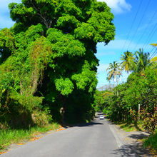 ANTIGUA