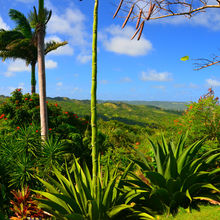 BARBADOS