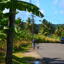 ST LUCIA