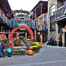 GREAT SMOKY MOUNTAINS AND GATLINBURG IN FALL