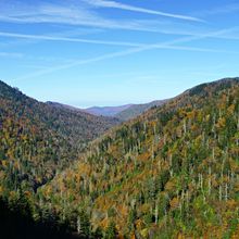 GREAT SMOKY MOUNTAINS AND GATLINBURG IN FALL