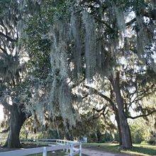 SAVANNAH, GEORGIA