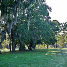 SAVANNAH, GEORGIA