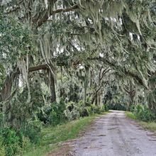 SAVANNAH, GEORGIA