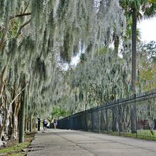 SAVANNAH, GEORGIA