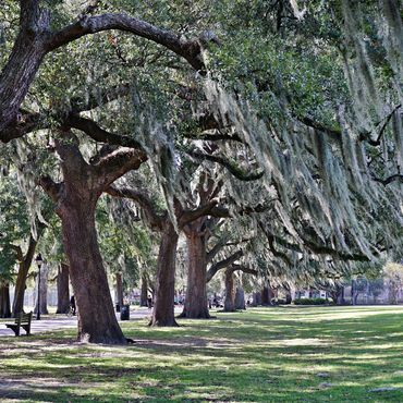 SAVANNAH, GEORGIA