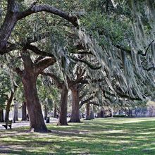 SAVANNAH, GEORGIA