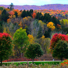 FALL COLORS IN VERMONT