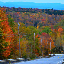 FALL COLORS IN VERMONT