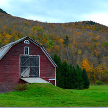 FALL COLORS IN VERMONT