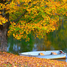 FALL COLORS IN VERMONT