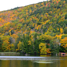 FALL COLORS IN VERMONT