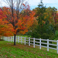 FALL COLORS IN PENNSYLVANIA