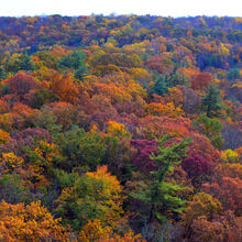 FALL COLORS IN PENNSYLVANIA