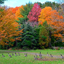 FALL COLORS IN PENNSYLVANIA