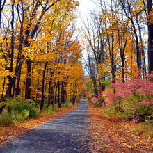 FALL COLORS IN PENNSYLVANIA