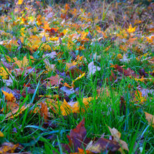 FALL COLORS IN PENNSYLVANIA