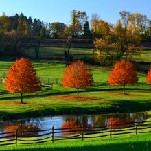 FALL COLORS IN PENNSYLVANIA