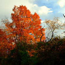 FALL COLORS IN PENNSYLVANIA