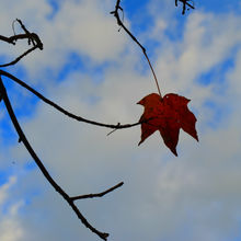 FALL COLORS IN PENNSYLVANIA