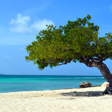 BEACHES OF ARUBA