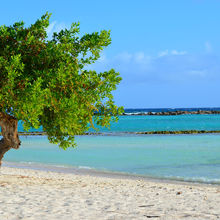 BEACHES OF ARUBA