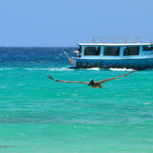 BEACHES OF ARUBA