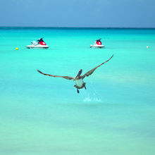 BEACHES OF ARUBA