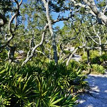 ST ANDREWS STATE PARK, FLORIDA