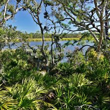 ST ANDREWS STATE PARK, FLORIDA