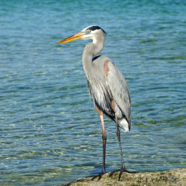 ST ANDREWS STATE PARK, FLORIDA