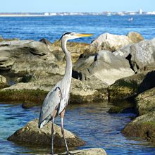 ST ANDREWS STATE PARK, FLORIDA