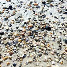 ST ANDREWS STATE PARK, FLORIDA