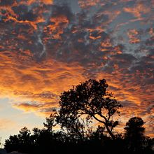 ST ANDREWS STATE PARK, FLORIDA