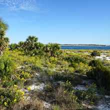 ST ANDREWS STATE PARK, FLORIDA