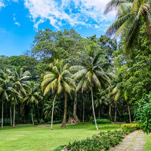 OCHO RIOS, JAMAICA