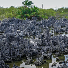 GRAND CAYMAN, THE CAYMAN ISLANDS