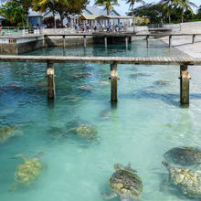 GRAND CAYMAN, THE CAYMAN ISLANDS