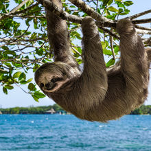 ROATAN, HONDURAS