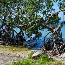 ROATAN, HONDURAS