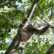 ROATAN, HONDURAS