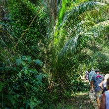 BELIZE & HARVEST CAYE