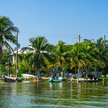 BELIZE & HARVEST CAYE