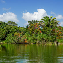 BELIZE & HARVEST CAYE