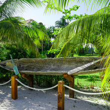 BELIZE & HARVEST CAYE