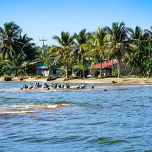 BELIZE & HARVEST CAYE